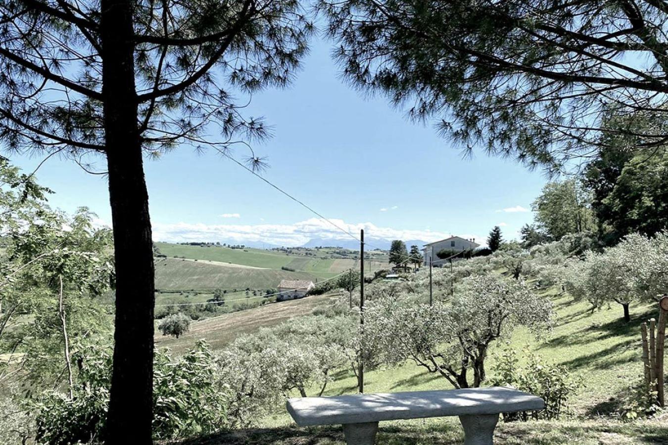 Bed&Breakfast La Vecchia Scuola Montefano Esterno foto